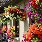 Louth Hall Отель типа 