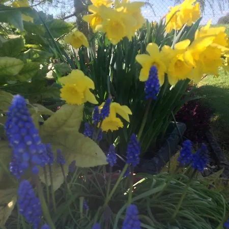 Louth Hall Bed & Breakfast 4*