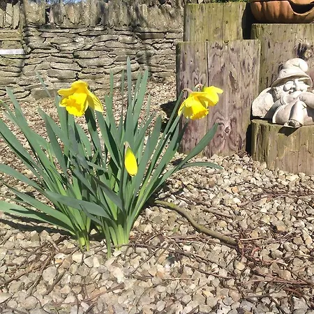 Bed & Breakfast Louth Hall Tallanstown