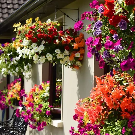 Louth Hall Bed & Breakfast 4*