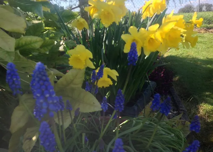 Louth Hall Bed & Breakfast 4*