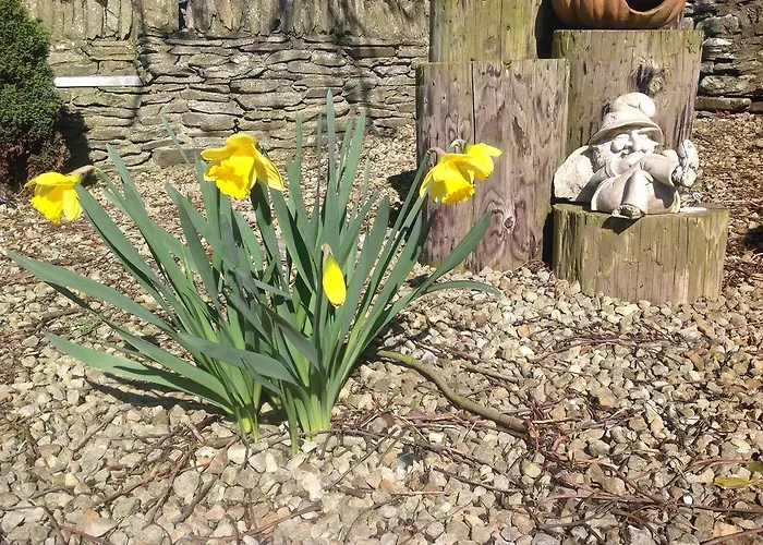 Bed & Breakfast Louth Hall Tallanstown